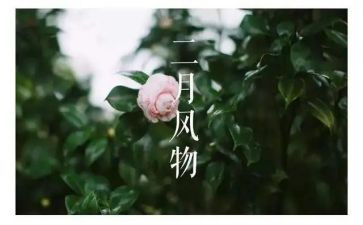 第二月工作总结8篇