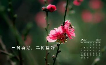 班主任十二月份工作总结6篇