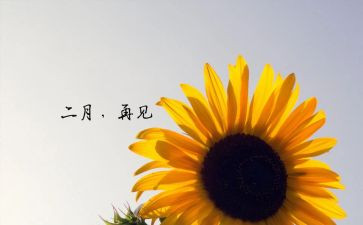 第二月工作总结优质6篇