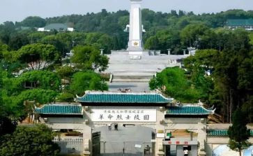 鄂豫皖观后感800字优秀5篇