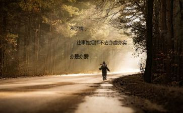 深圳改革开放作文5篇