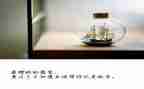 放寒假了作文400字7篇
