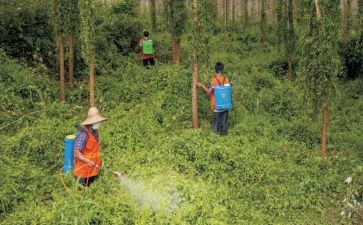 防治工作计划通用7篇