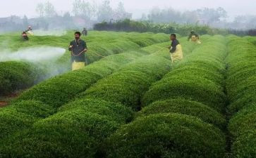 大气污染防治工作总结的范文5篇