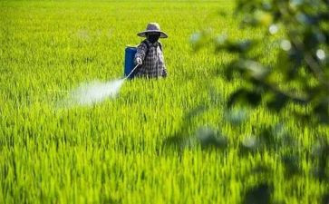 职业病防治宣传总结模板5篇