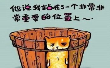 活动反思及活动总结推荐7篇