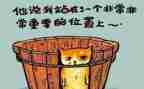 活动反思及活动总结推荐7篇