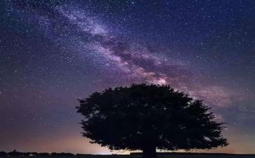 繁星131的读后感优质7篇