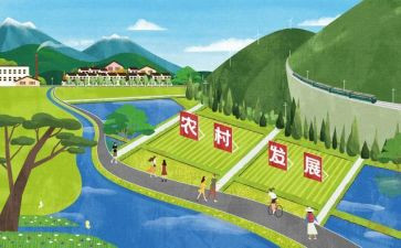 教师专业化发展的心得体会5篇
