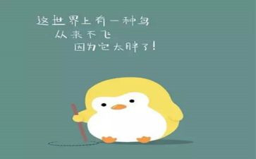 减肥的利与弊作文最新6篇