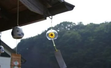 蓝风铃作文6篇
