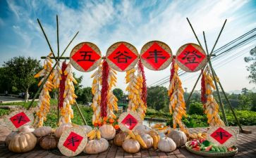 大班丰收节活动教案7篇