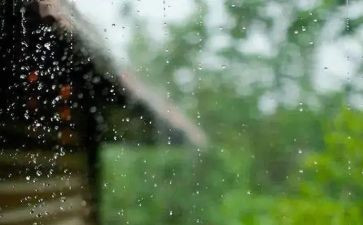 风雨中我____作文最新7篇