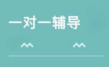 辅导工作总结8篇