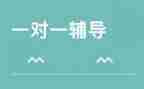 培训辅导者培训总结范文6篇