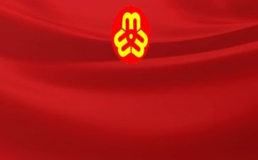 男妇联主任工作计划5篇