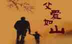 我的父亲作文高中800字5篇