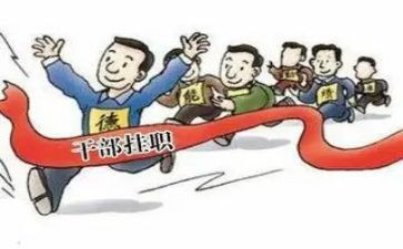 副职述职副职述职述廉报告5篇