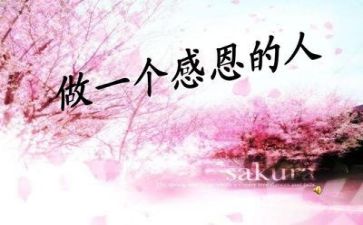 我感恩的作文600字通用6篇