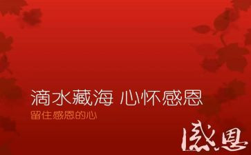 感恩帐及心得体会最新6篇