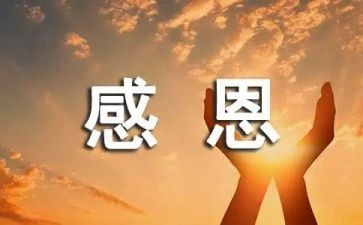 举办感恩活动的活动总结8篇