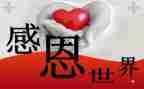 感恩有我作文800字推荐5篇