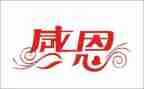 有关于感恩的作文800字8篇
