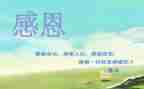感恩的心的作文500字模板8篇