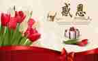 感恩的心得体会500字作文8篇
