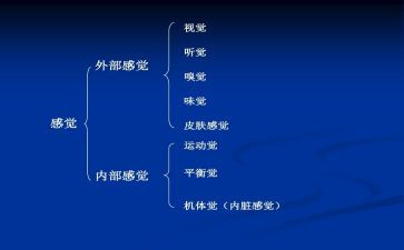 回家的感觉真好作文8篇