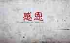我感谢作文600字最新6篇