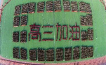 高三组工作总结报告5篇
