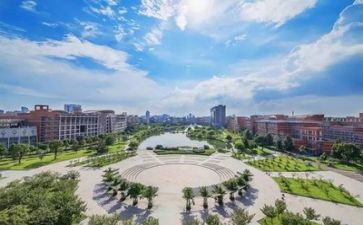 2024年高校教师个人述职报告7篇