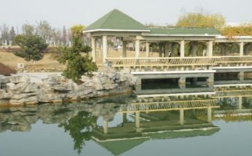 高校教师个人科研工作总结6篇