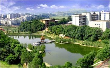 高校新进教师工作总结8篇