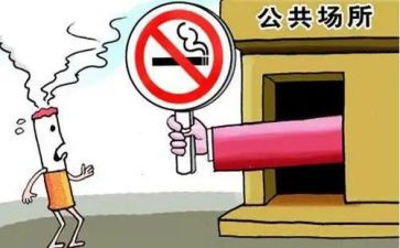 2024年公共机构节能宣传总结最新5篇