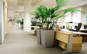 公司总结和个人总结优质5篇