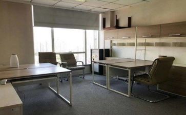 公司述职报告7篇