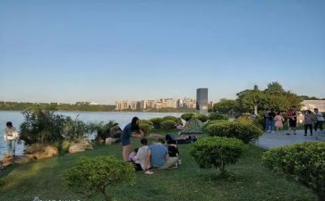 夜公园作文5篇