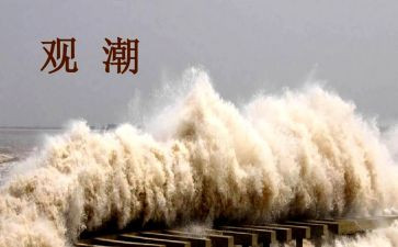 观潮教学总结优秀8篇