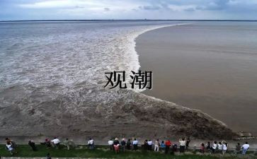 观潮教师总结与反思优质5篇