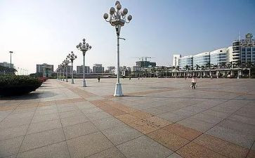 在广场的蟋蟀读后感优质6篇