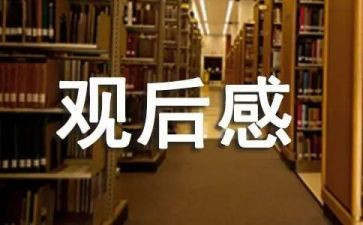 《领航》观后感优秀7篇
