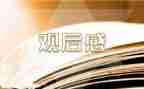 讲观后感作文模板8篇