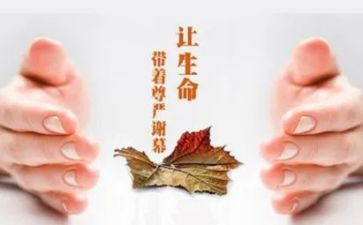 关于关怀的作文6篇