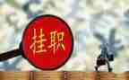 挂职2023工作总结最新6篇