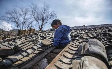 孤儿岛读后感最新5篇