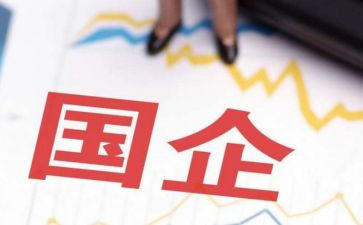 国企个人总结工作总结8篇