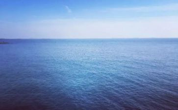航海行动观后感8篇