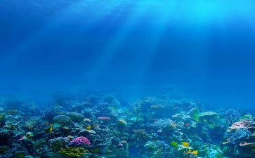 海底2万里读后感600字作文6篇